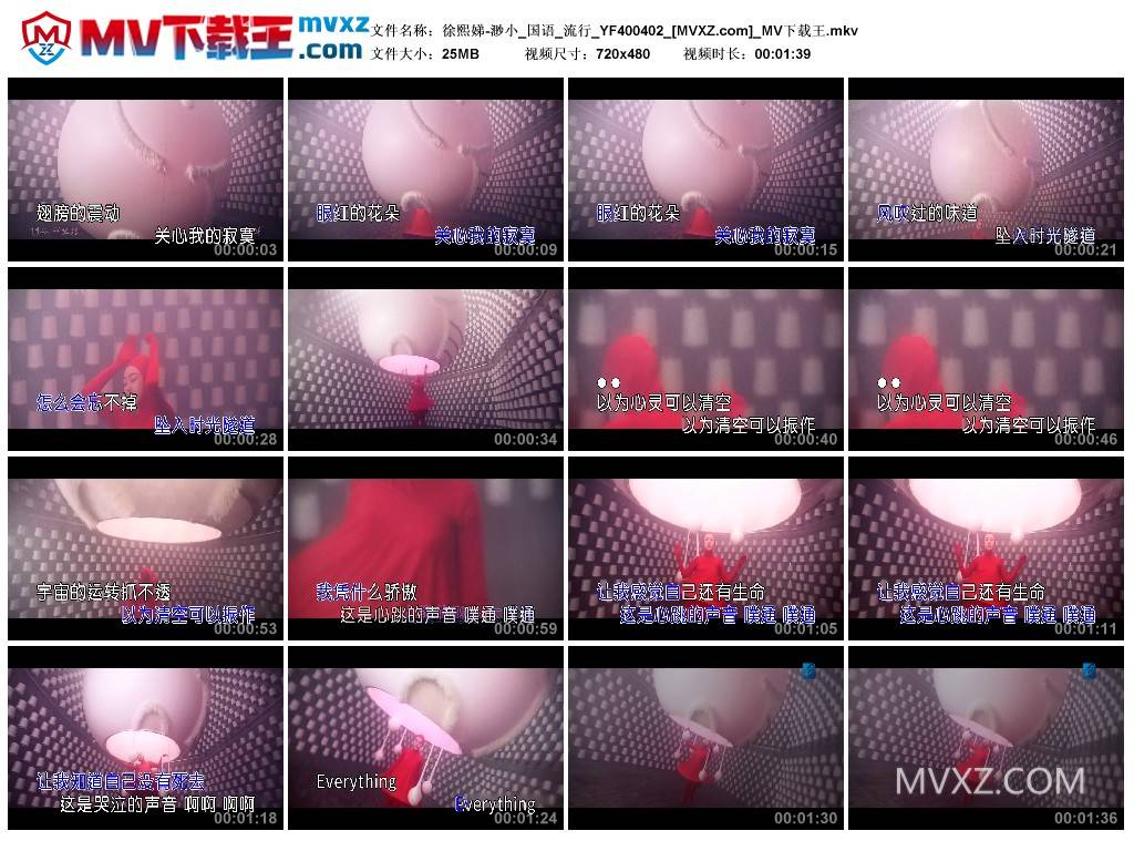 徐熙娣-渺小_国语_流行_YF400402